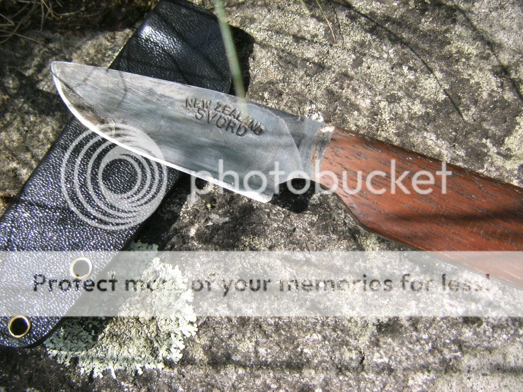 272010.jpg