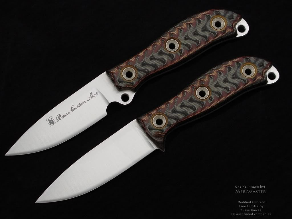 Busse-ADSatinOrigwModifiedguard.jpg