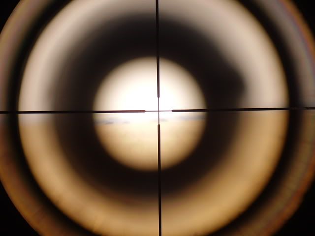 P5280054.jpg