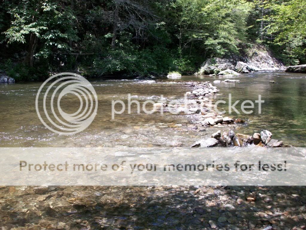 100_2415.jpg