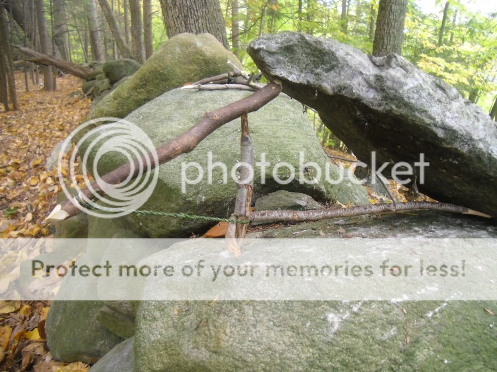 PICT0019-23.jpg