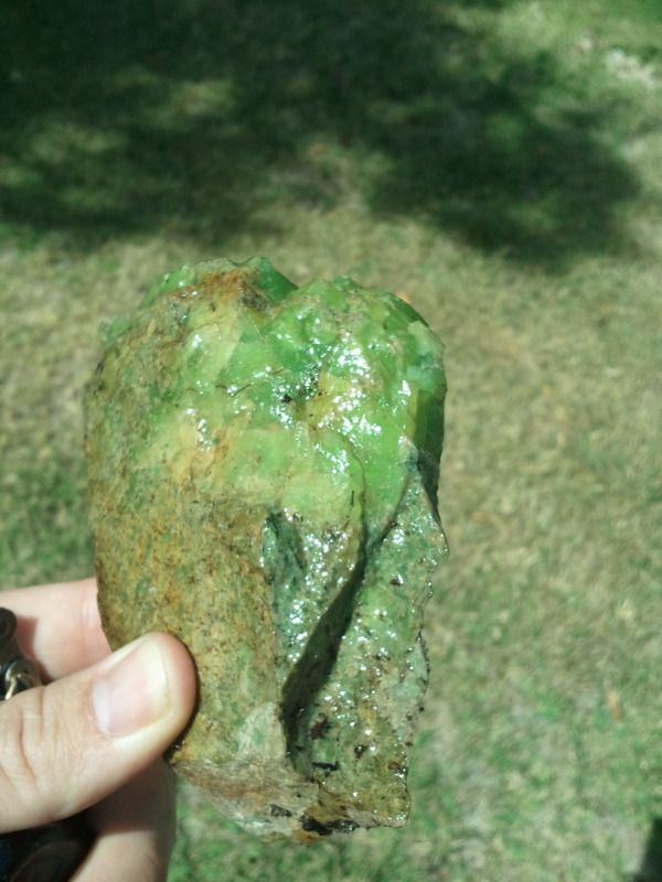 2012-09-13124054.jpg
