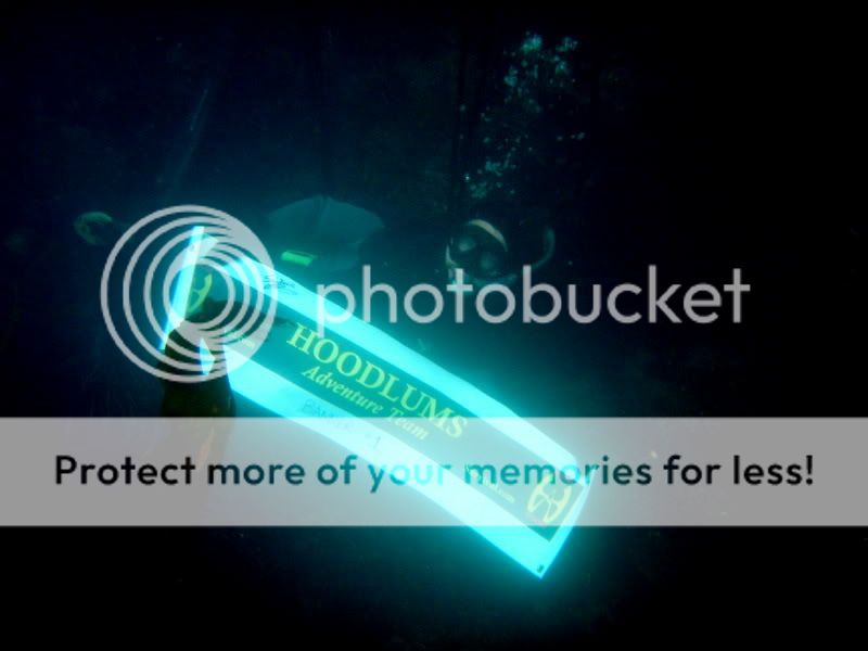 2dbwex1.jpg