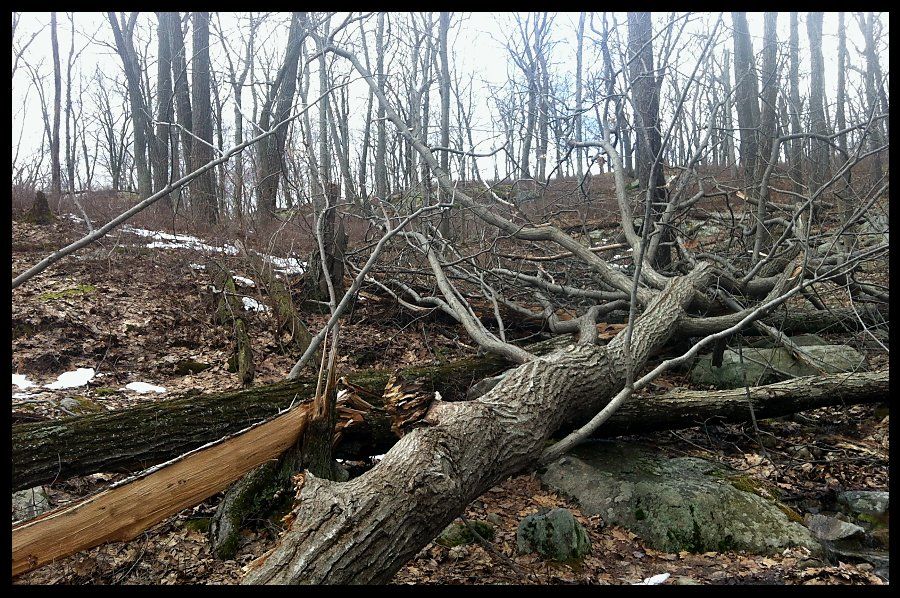 051_024_zps97c8a846.jpg