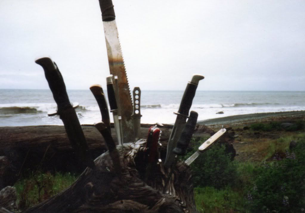 LostCoast002_zpsc2176470.jpg