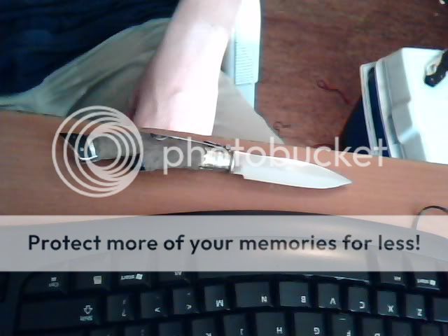 Picture7.jpg