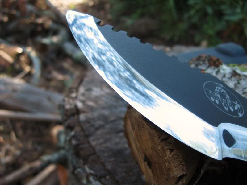 Tracker010.jpg