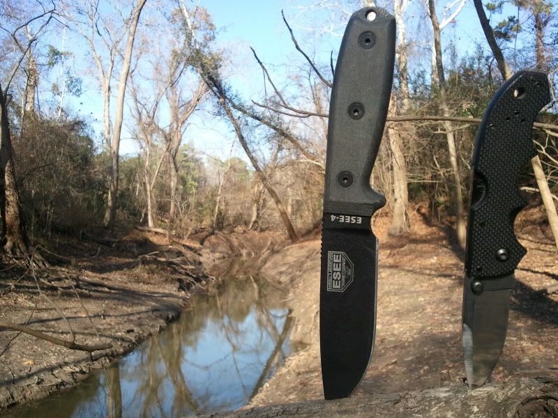 2011-01-19152638-2.jpg