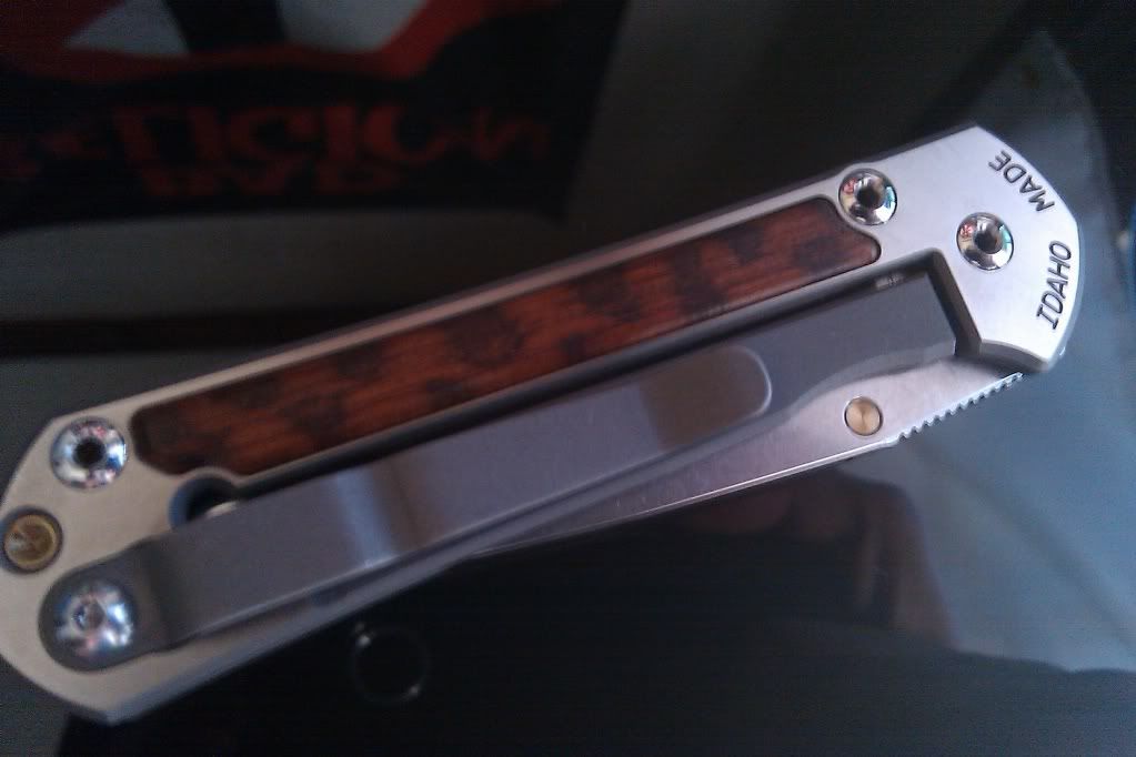 IMAG0423.jpg