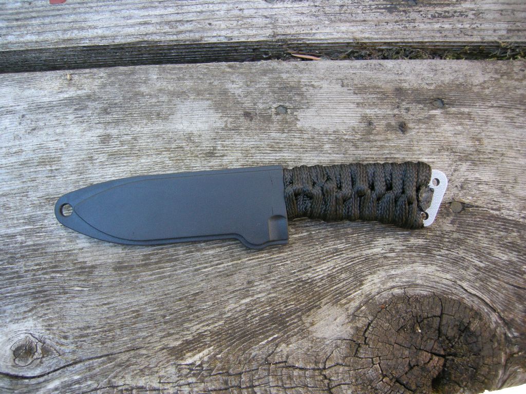 Remora2.jpg
