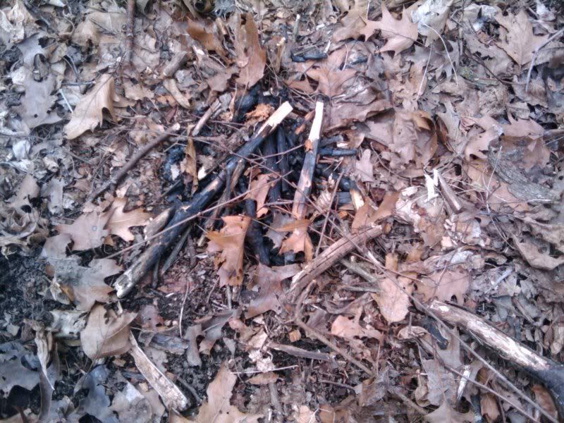 2011-03-18131234.jpg