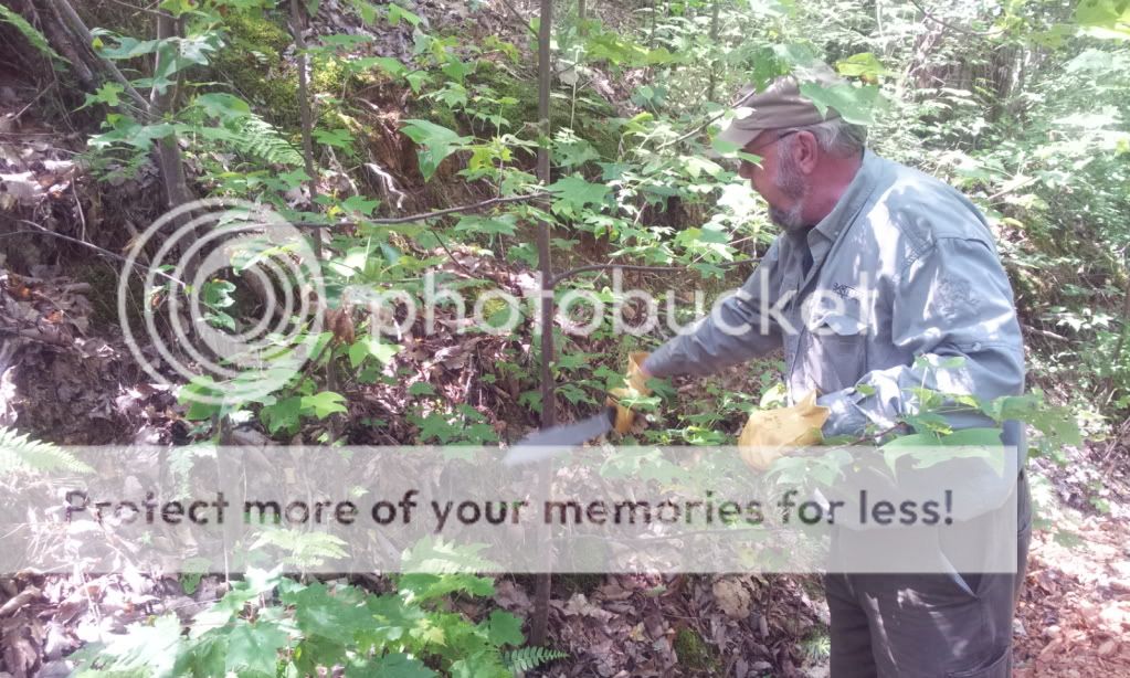 2012-05-10114649.jpg