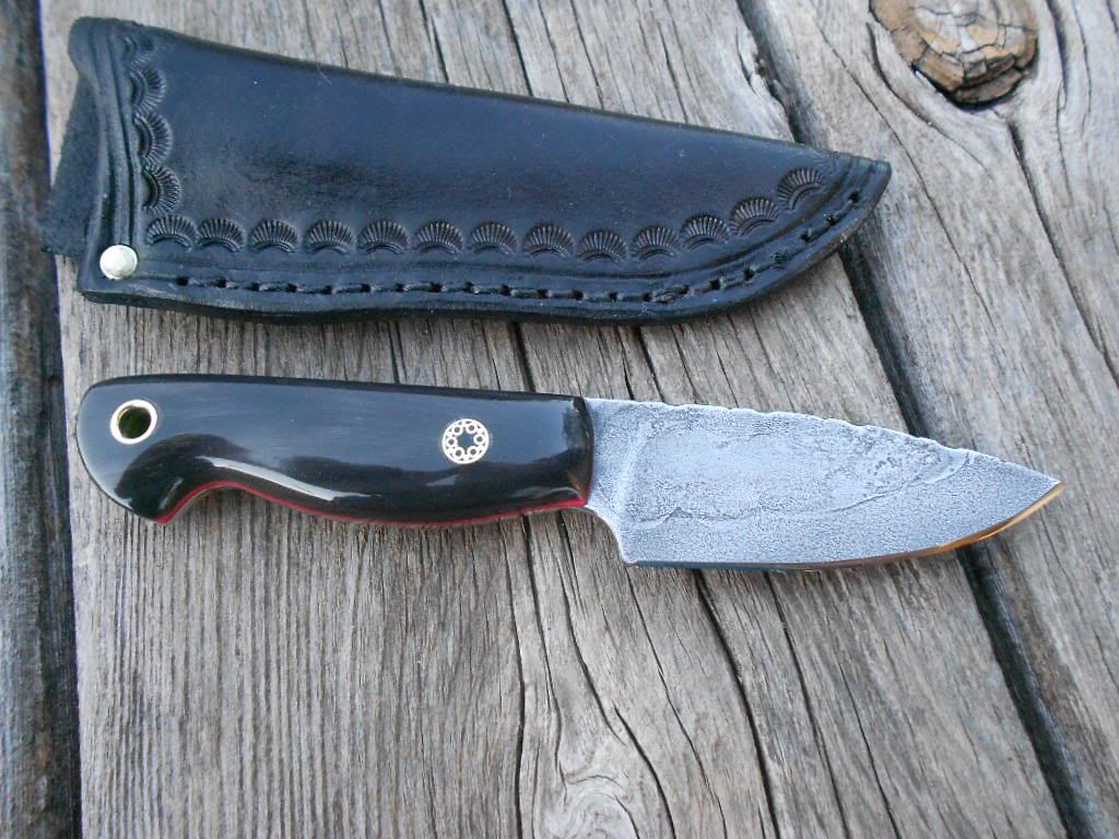 Buffaloand1095005.jpg
