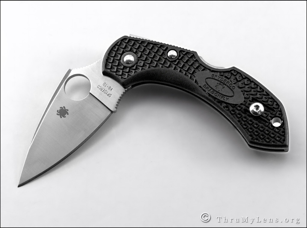dragonfly2a.jpg