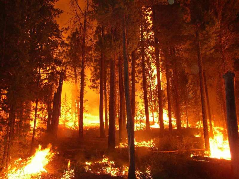 wildfire.jpg
