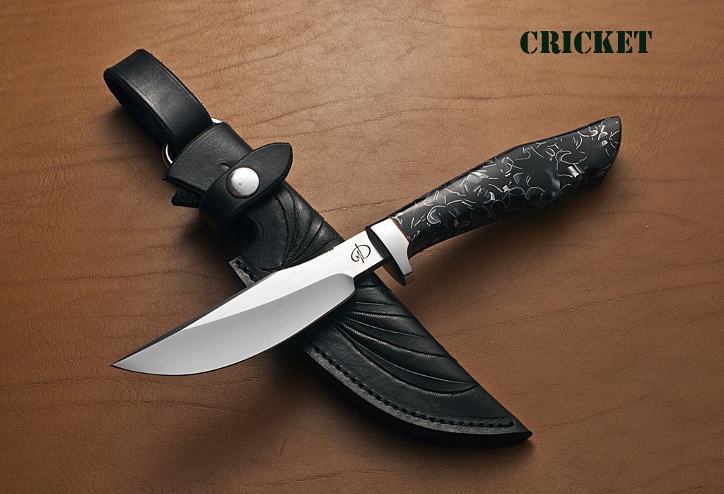 Cricket-1024x698.jpg