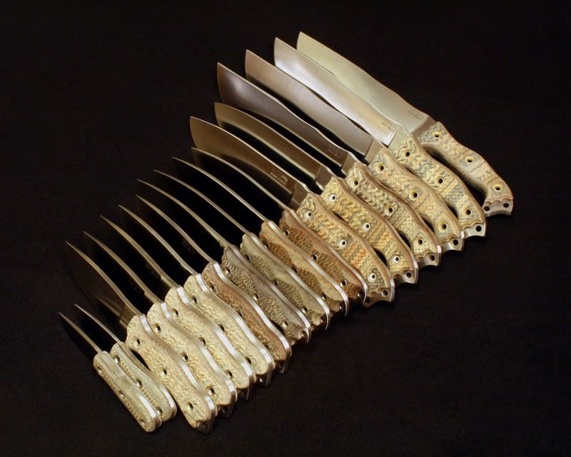 LESet1165.jpg