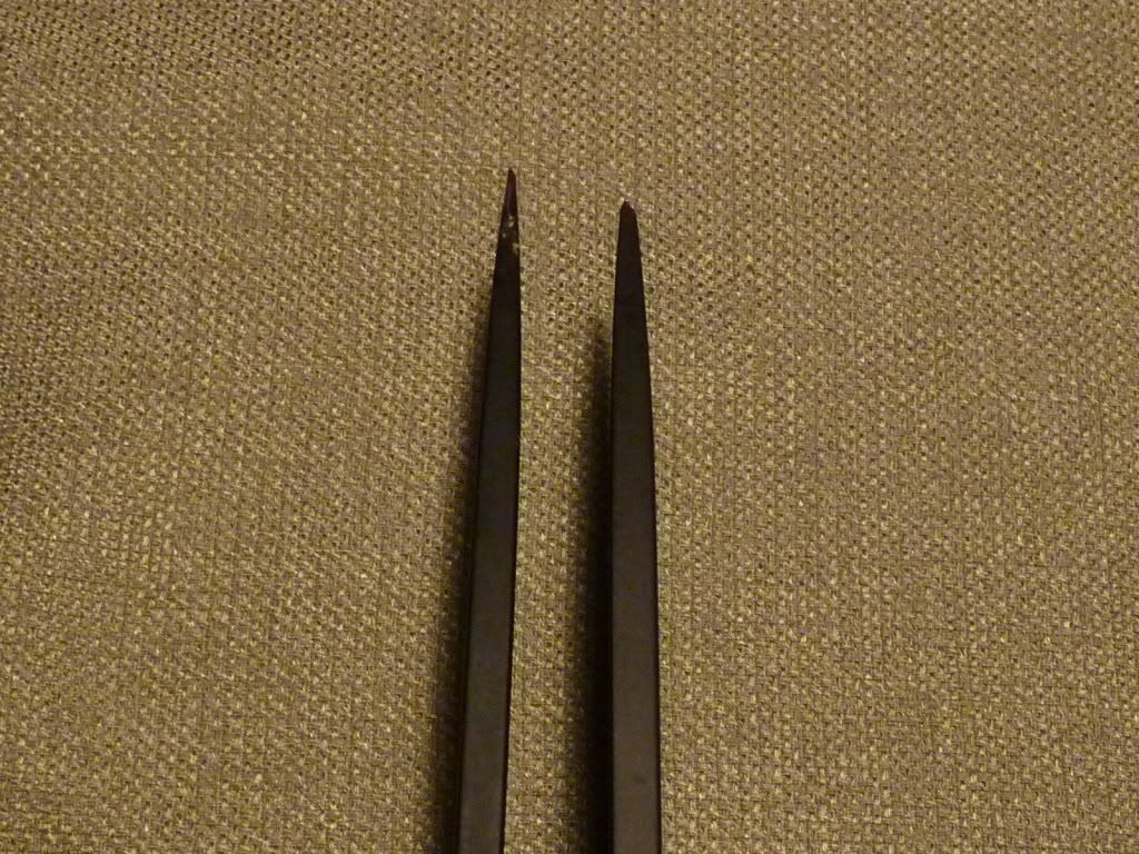 P1040253.jpg