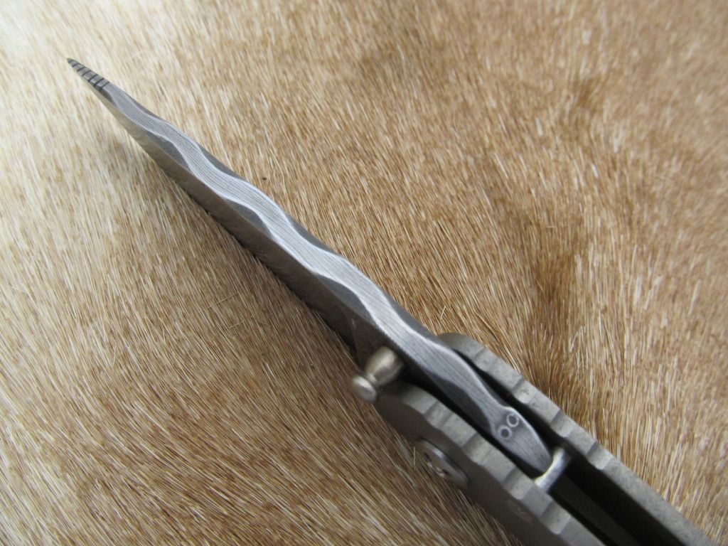 framelockwithsnake017.jpg