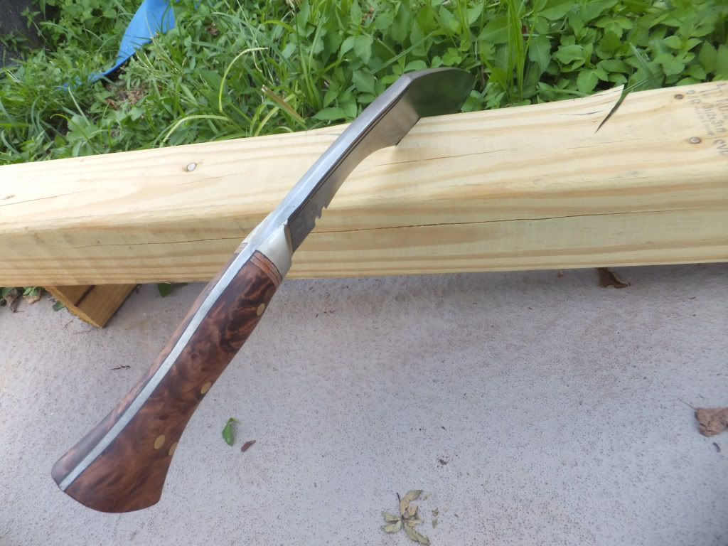 2a82e217.jpg