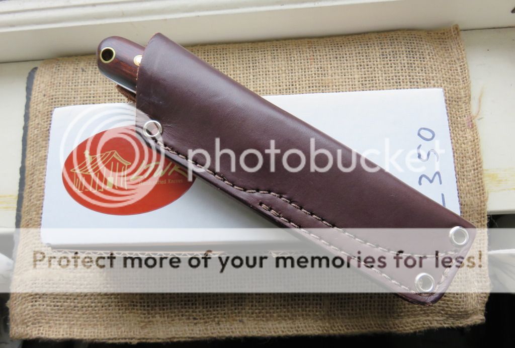 IMG_1464.jpg~original