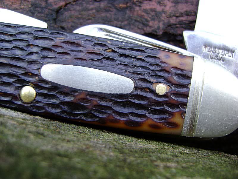 Picture060.jpg
