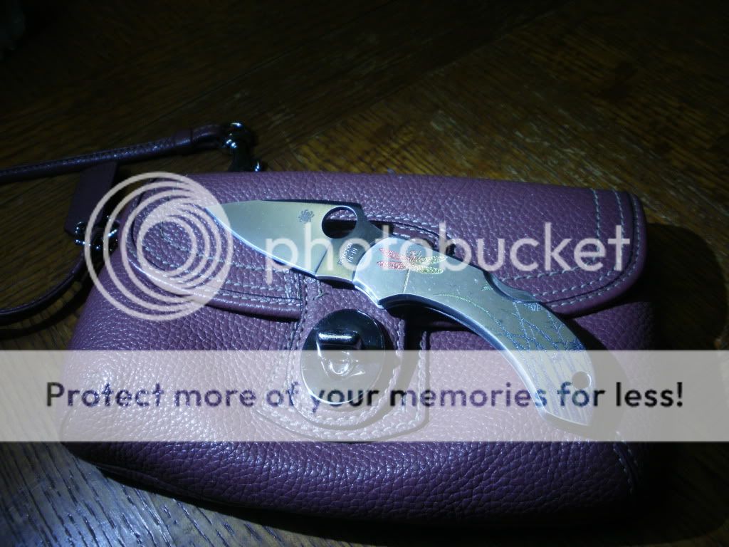 P1010054-1.jpg