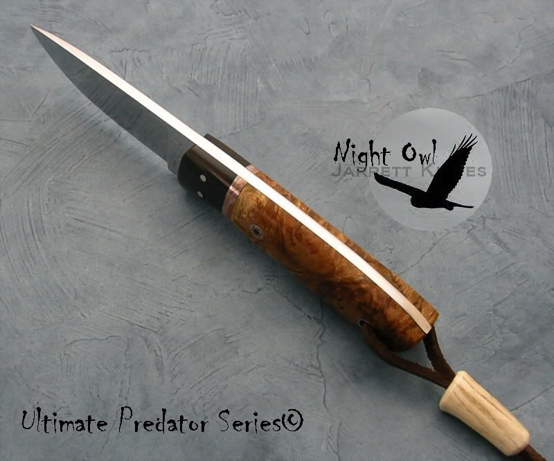 NightOwlSpineProfile.jpg