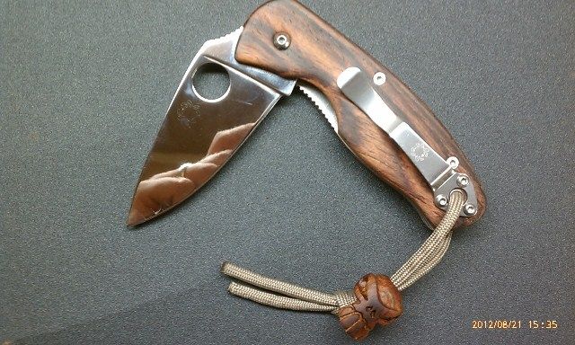 PersistenceCocobolo.jpg
