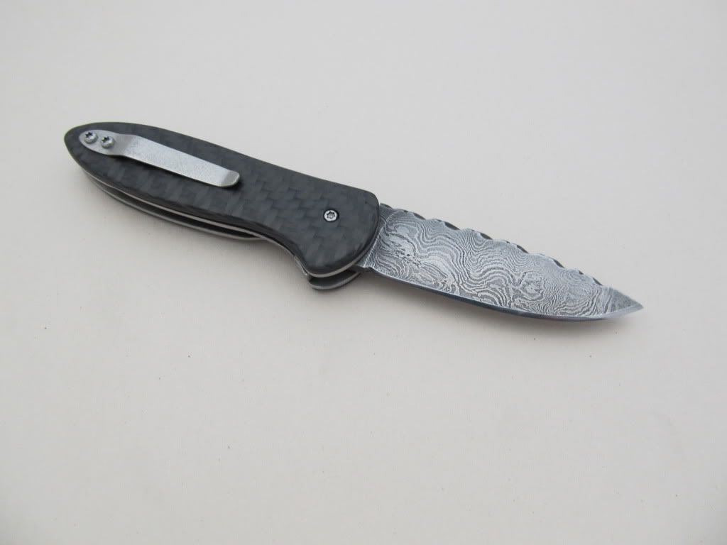 CarbonfiberDamfolder032.jpg