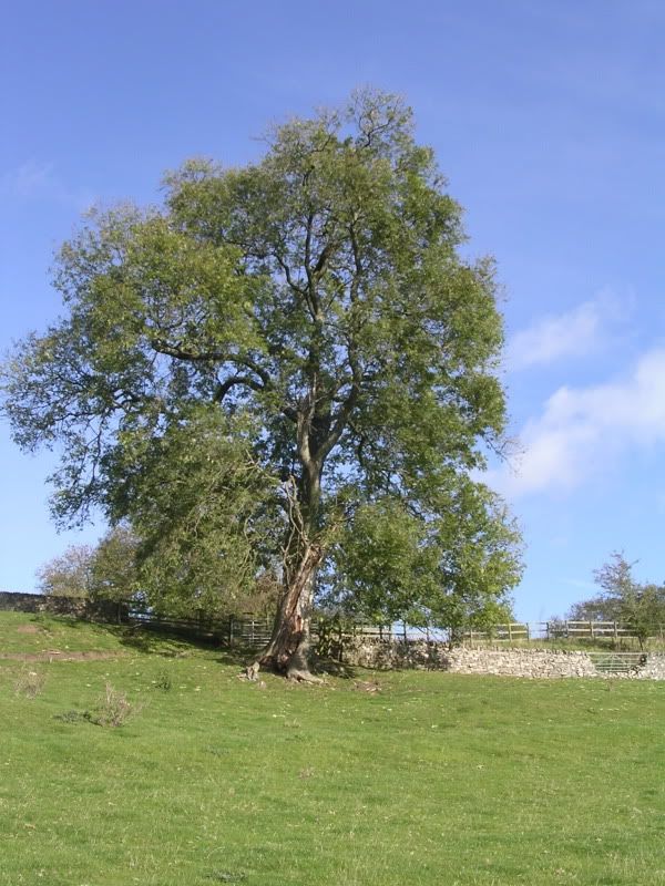 DSCN2910.jpg