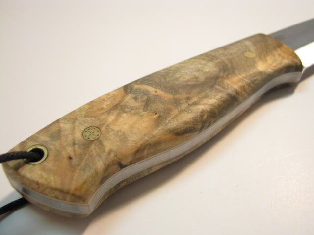 Buckeye-10.jpg