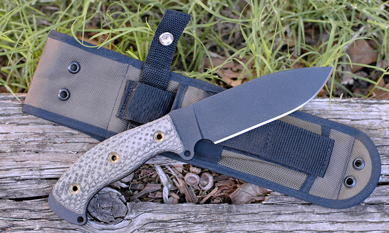 busse.jpg