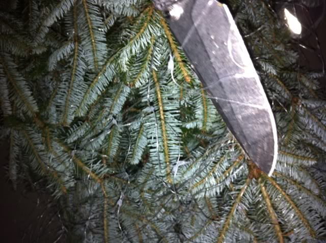 image-53.jpg
