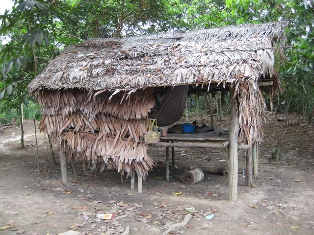 IMG_3895.jpg