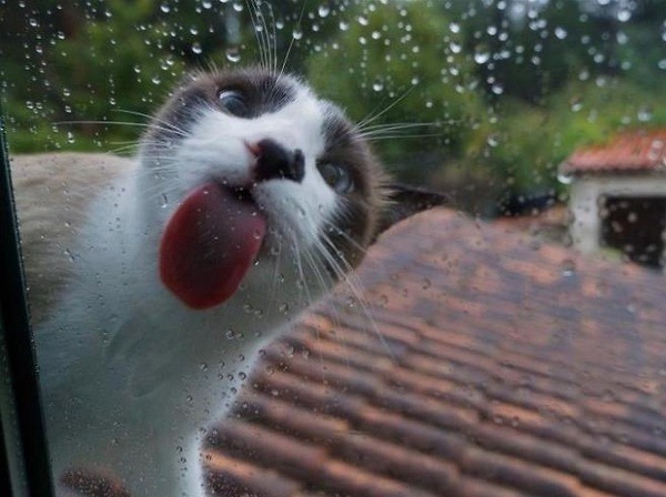 tumblr_n5tyd0rZKB1t96dyxo1_1280.jpg