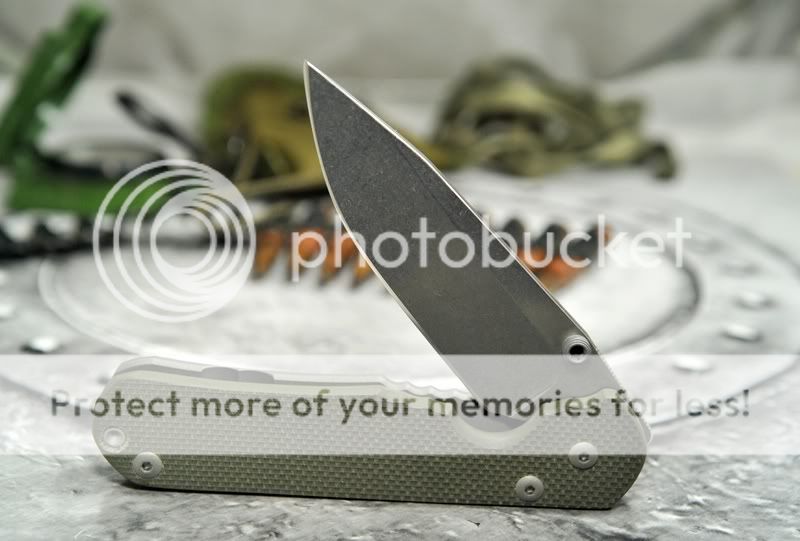 stridebenza_1.jpg