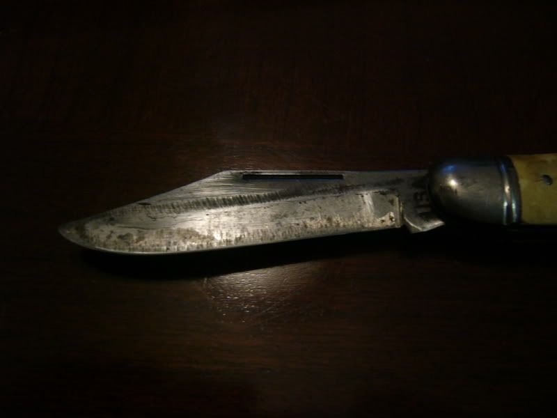 P1000611.jpg
