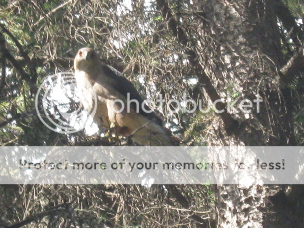 IMG_7889.jpg