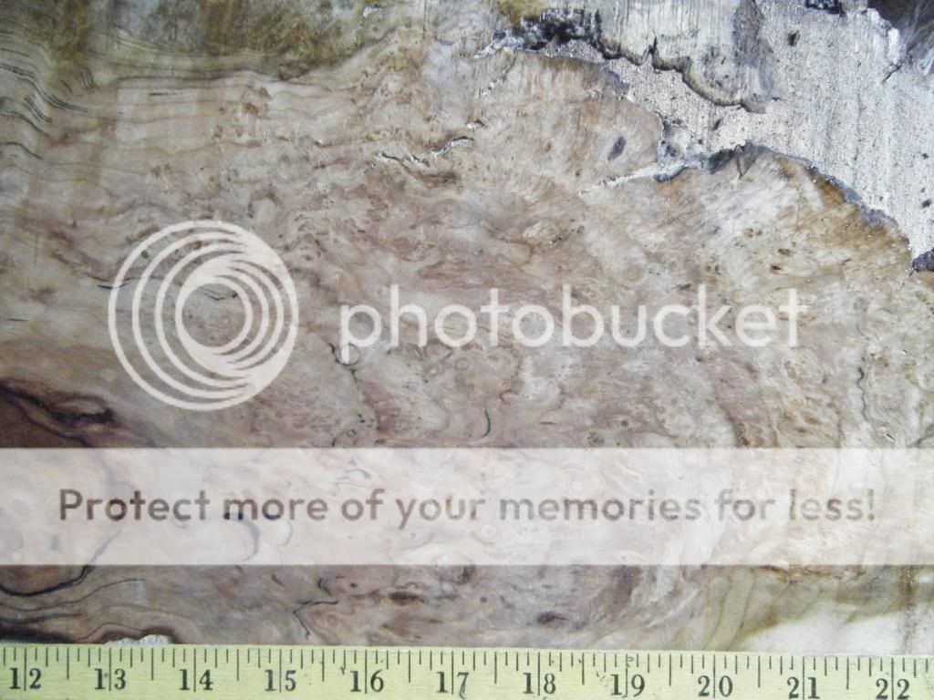 burl004.jpg