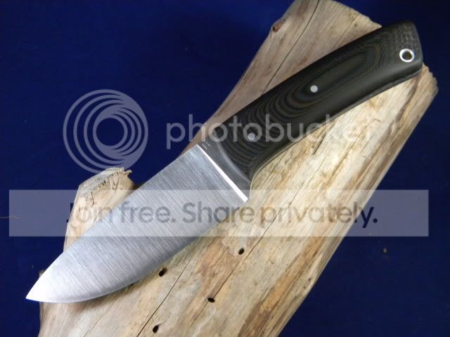 DSCN1384.jpg