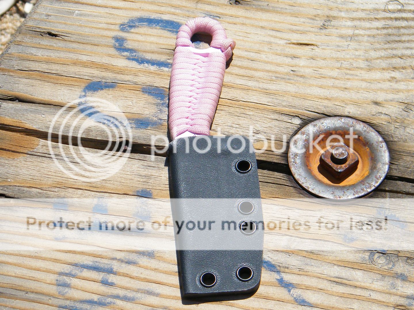 DSCF7780.jpg