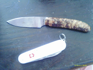 IMAG0488.JPG