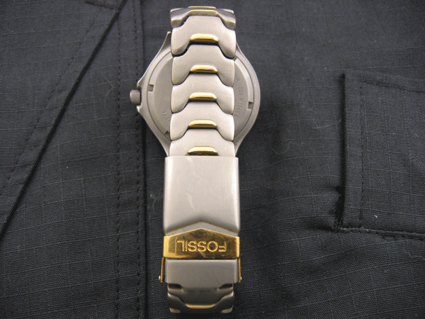 Fossil_Ti_02_02.gif