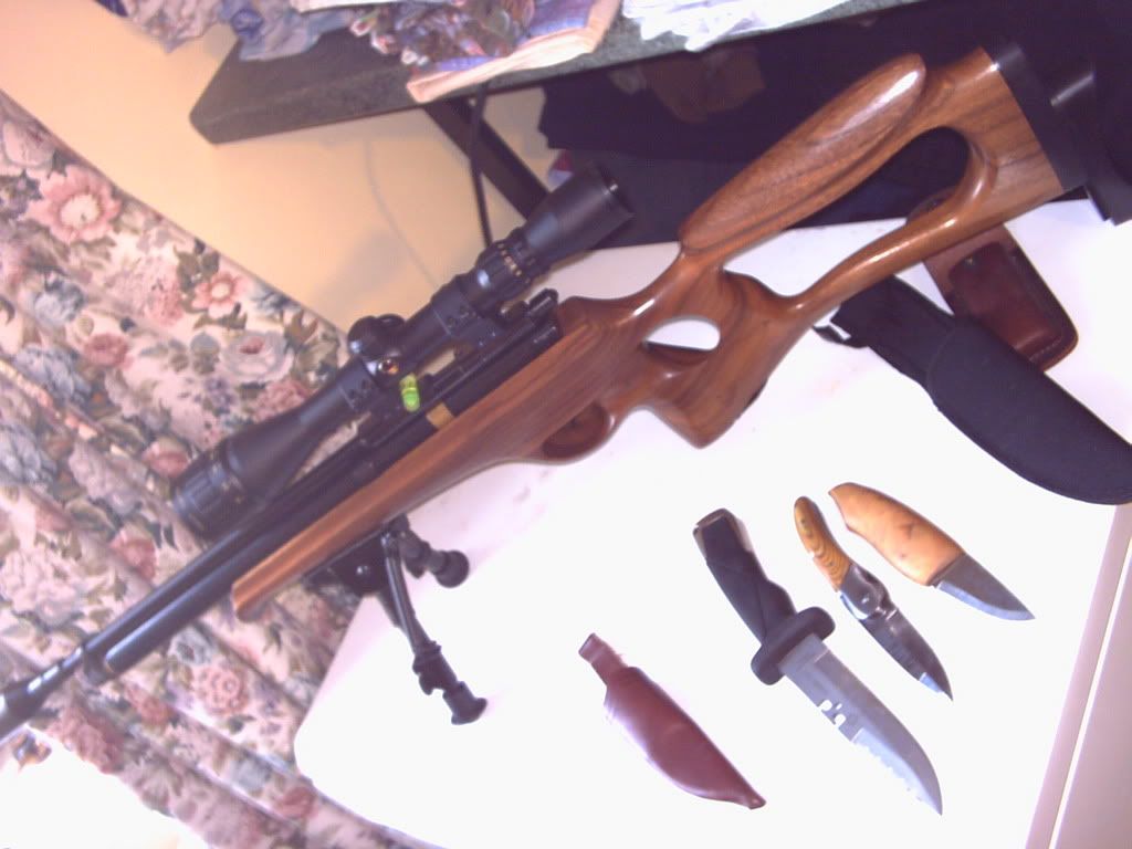 gun013.jpg
