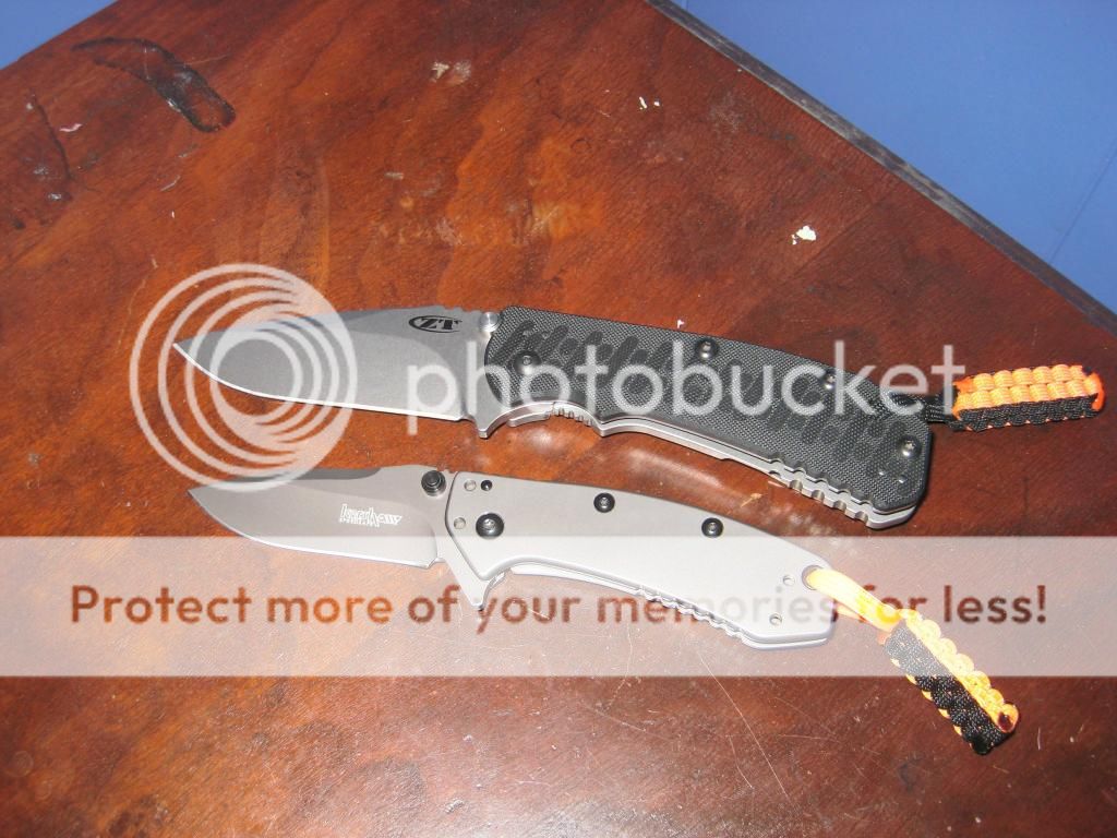 IMG_1055_zps55133f52.jpg