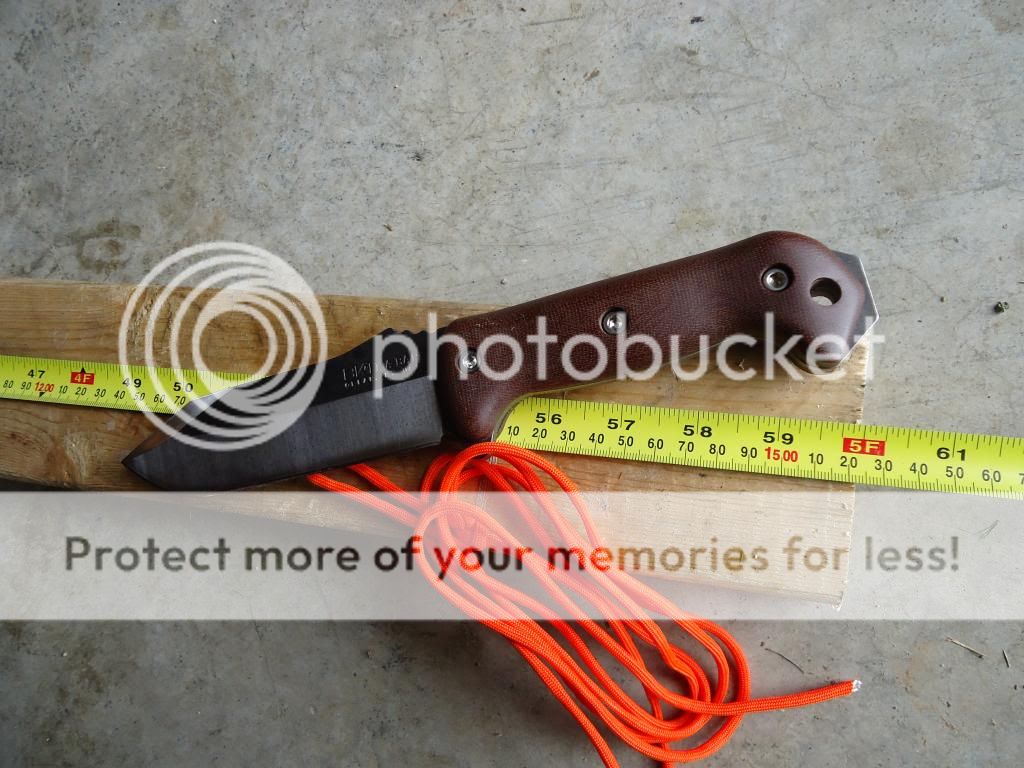 DSC00355_zps7fe7549e.jpg
