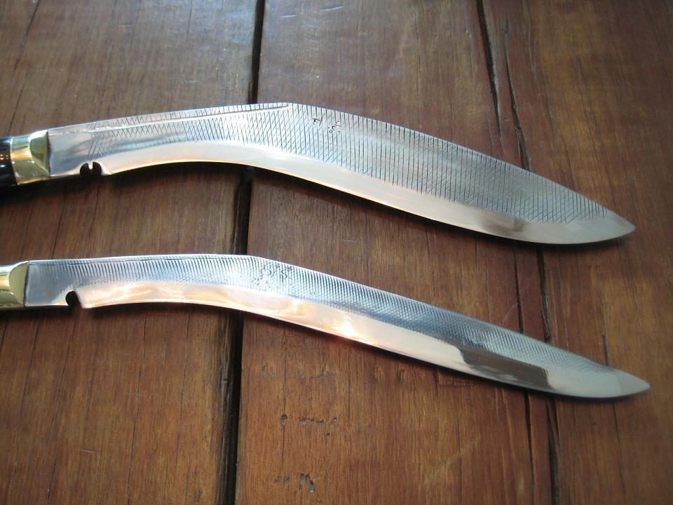 Scale3_zps5069ce85.jpg