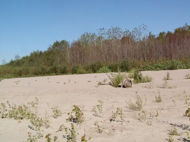 09-01-0710.jpg