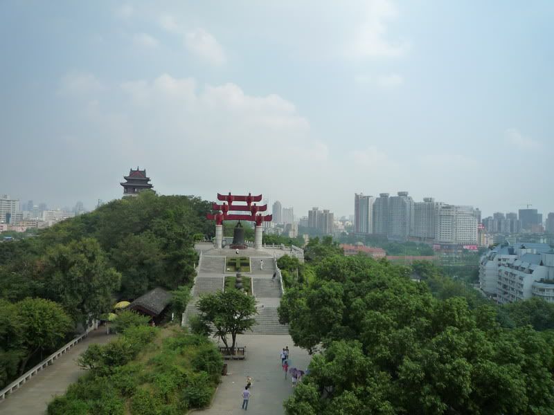 P1010472.jpg
